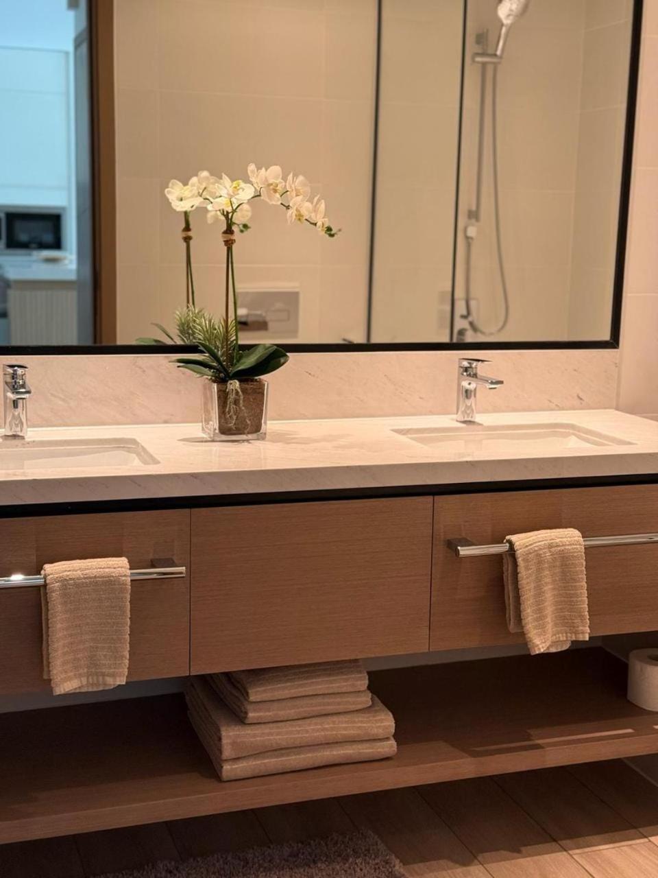Apartment Luxury Terrace - Palace Residences Dubai